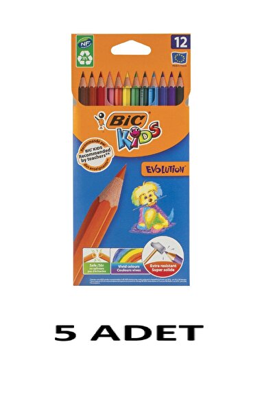 Bic 5 Pieces of Evolution Dry Paint, 12-Pack