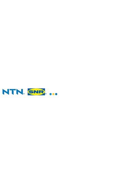 ŞNRcollection Întinzător de curea de distribuție SNR GT373.40