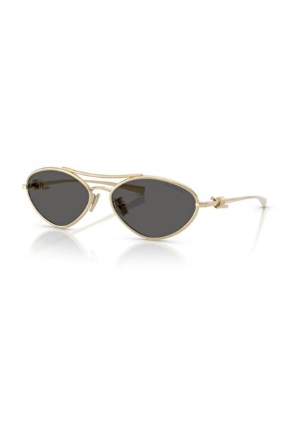 Tiffany&Co Tiffany & Co. 0Tf3117 6021S458 Women's Sunglasses
