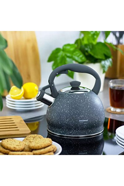 NO BRAND Fierbător Tradițional cu Fluier 2L, Inducție, Gaz, Inox