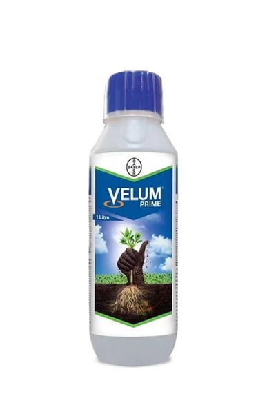Bayer Velum Prime 400 SC 1L