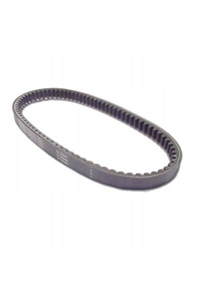 DAYCO Curea de transmisie