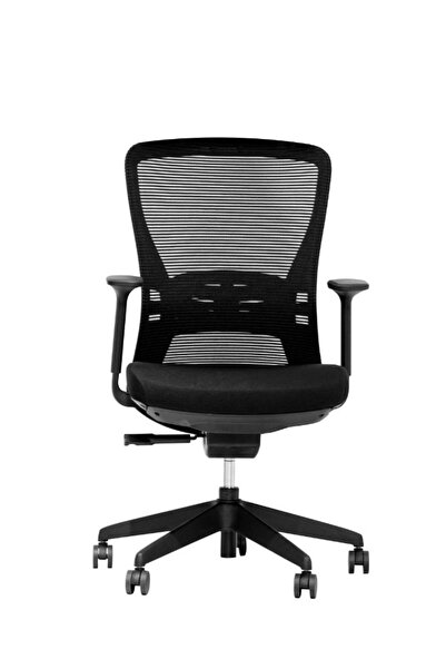 Fatio Medium Back Mesh Office Chair with Back Support, Height Adjustable with...