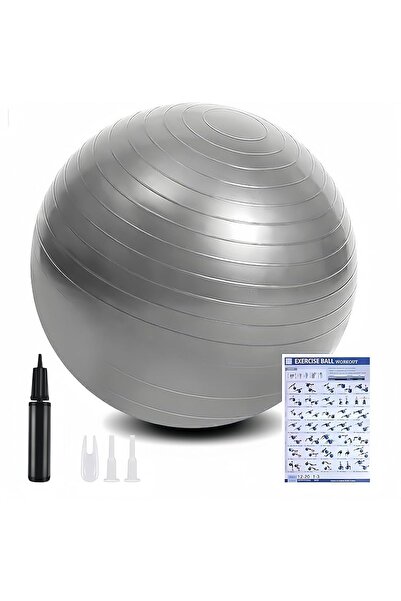 Dotail Flintronic Exercise Ball, Burst-Proof, Extra Thick, 65 cm, PVC, gray