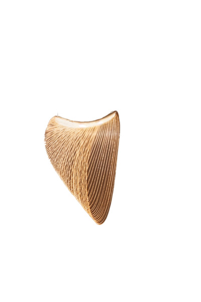 Siera Birch Pendant Light Wooden Color P 728