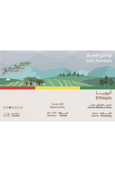 kanaf coffee roasters كتاب هامبيلا إثيوبيا |   إثيوبيا بوكو هامبيلا 1 كجم