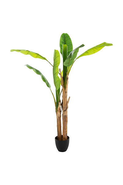 CLICK , Planta artificiala Atmosphera model bananier cu ghiveci, 160 cm, verde