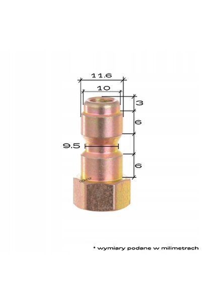 Techkar Perie pentru spălător cu presiune, conector 1/4, tip T-racer, 12 inch...