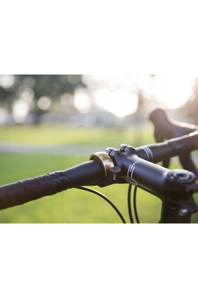 KNOG Bicicletă Bell Oi argintie 11981