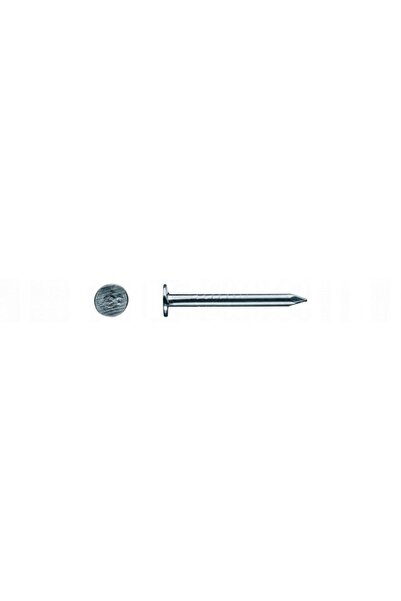 NO BRAND PAPAW NAILS T-GPA 3x30mm ZINC AMBALAJ 5KG
