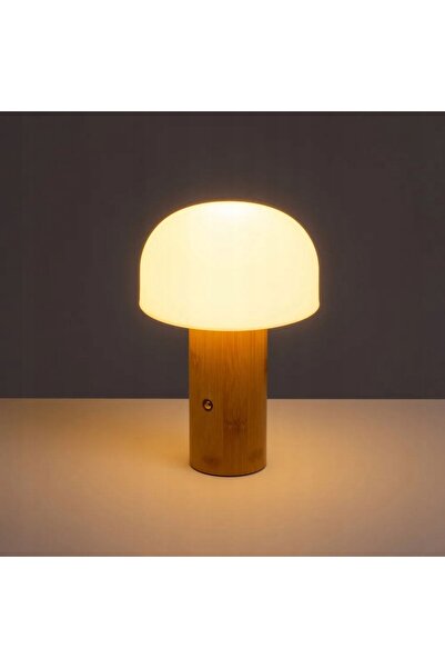 HowHomely Lampă de masă LED reîncărcabilă, fără fir, 21CM, cu 3 moduri, lumin...