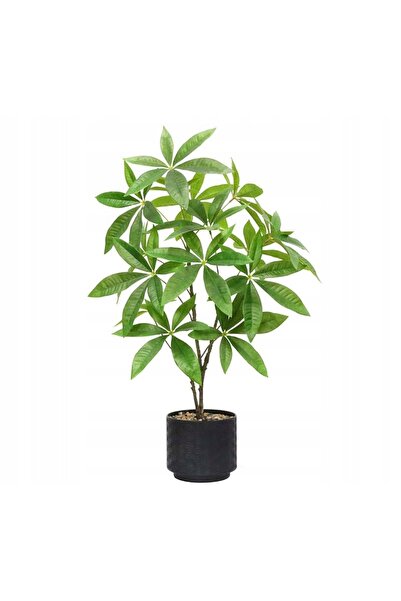 ITIMPORT PLANTĂ PACHIRA ARTIFICIALĂ ÎN Ghiveci, REALISTĂ, 60cm, ARBORELELĂ FR...