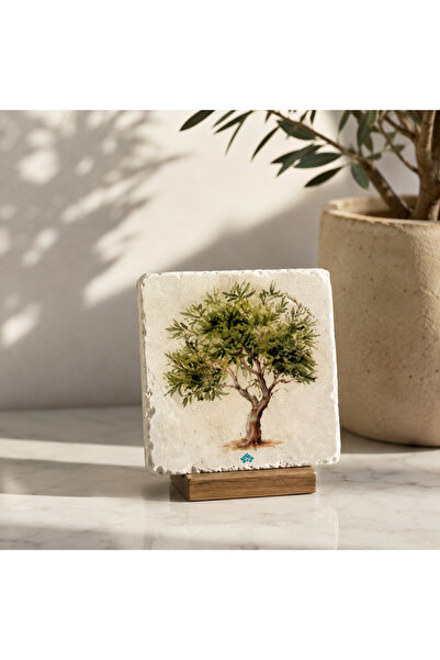Anadolia Olive Tree Patterned Travertine Single Coaster