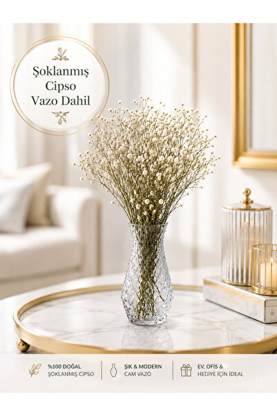 NC DESIGN CONCEPT Şoklanmış Cipso Çiçeği Cam Vazo Dahil | Ev Dekorasyonu, Ote...