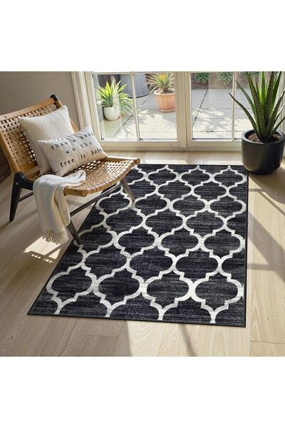 GENERAL Lahome Moroccan Area Rug - 2’x3’Washable Small Entryway Accent Distre...