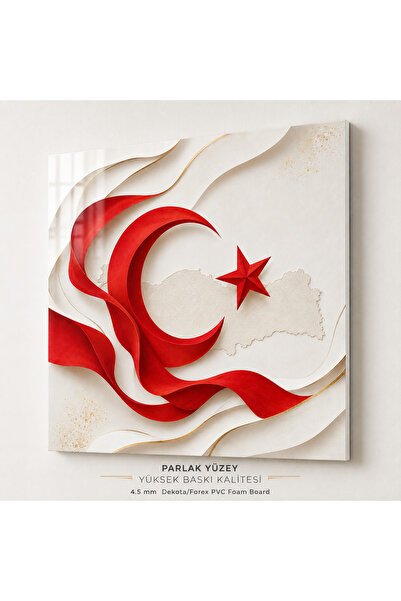 HiperAD Reklam Türk Bayrağı Ay Yıldız ve Türkiye Haritası Dekota Tablo, Forex...