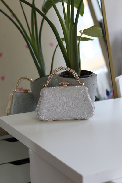 Moom Bag Women's Silver Patterned Case and Stone Handle Chain Evening Dress Bag
