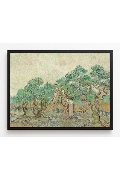 CraftedByPi Van Gogh Van Gogh Zeytin Ağaçları Çerçevesiz Poster 21x30 cm A4 T...