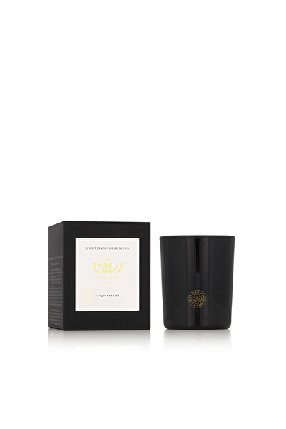 L'Artisan Parfumeur Λ& # x27; Αρτιζάν Περφουμέρ Αρωματικό κερί Μπρίζ Ντε Μιμό...