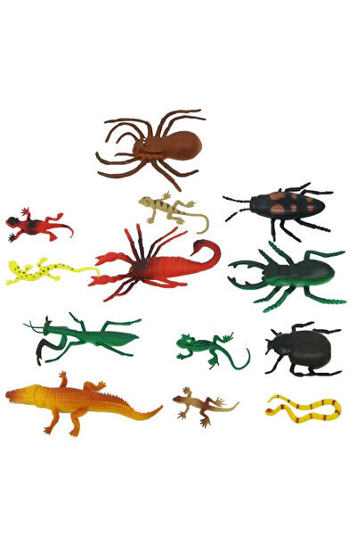 SORA GROUP Reptiles and Insects in Bags S00000716