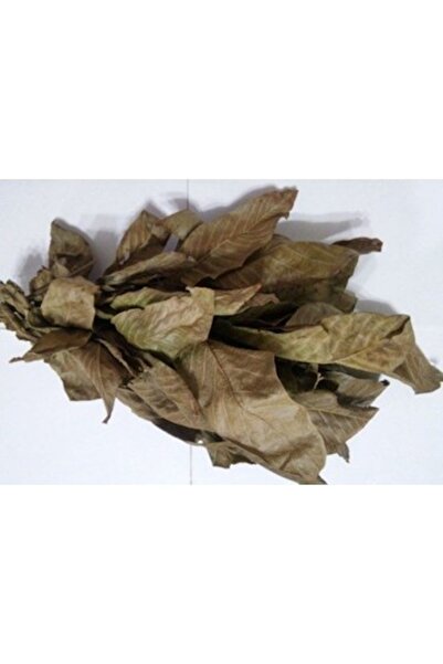 ALTIN GIDA 45 100 Gr Dried Walnut Leaves – Natural Dried Herbal Product