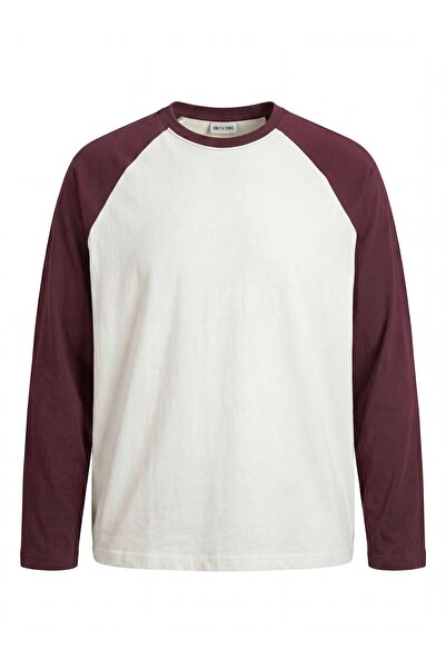 Only & Sons T-Shirt ONSHEATON T-Shirt
