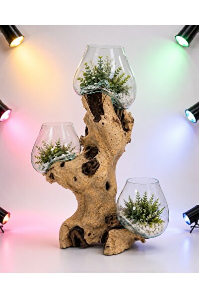 Generic Natural Wood Artwork Flower Vase with Two Glass Containers - Luxuriou...