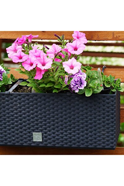 DIKEL Ghiveci de balcon 51 cm + cârlige, sistem de irigare; Lădiță de balcon ...