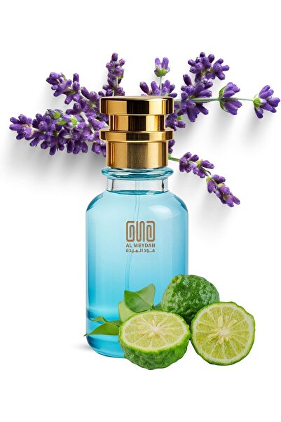OUD AL MEYDAN ’s Creation – Inspired by La Nuit De L’Hom – Oil-Based Perfume ...