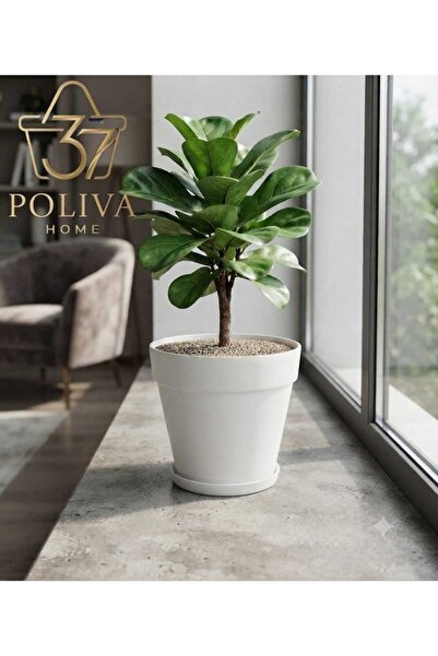poliva home 6 lt Kırık Beyaz Tabaklı Izgaralı Dekoratif Plastik Yalı Saksı 24 Cm