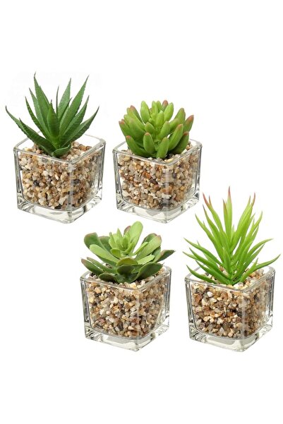 Generic Villa Como Set of 4 Succulents Plants Artificial in Clear Glass Pots ...