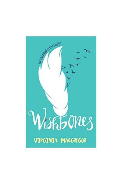 Generic (Unbranded) Wishbones