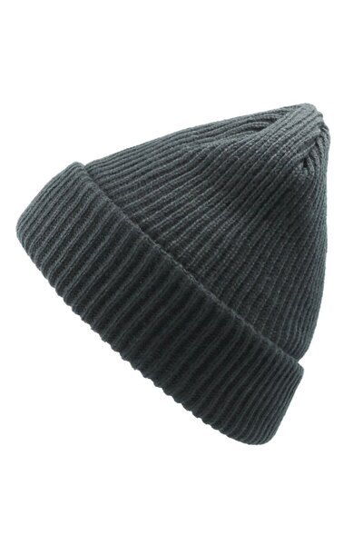 OEM Atlantis Bill Thinsulate hat, Polyester, gray, universal size