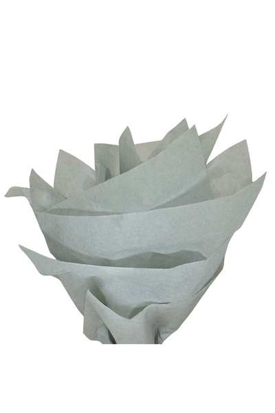 Papette Set of 100 pieces Silk paper 17g GREY - 50 x 75cm