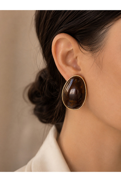Selay Accessory Brown Stone Detailed Oval Gold Earrings