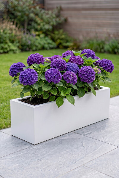 Desen Dekorasyon Zenith 97x27x28 cm Yatay Dikdörtgen Beyaz Saksılık - İç & Dı...