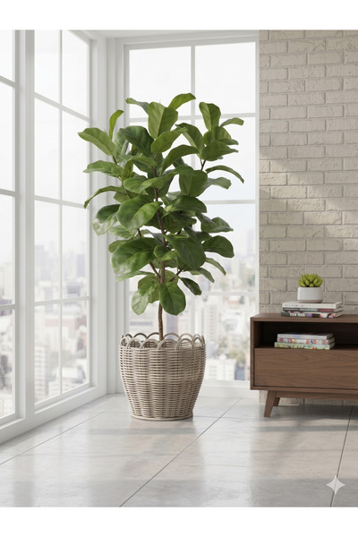 shop Raddancore El İşçiliği Krem Vintage Saksılık 30 cm - Dekoratif El Yapımı...