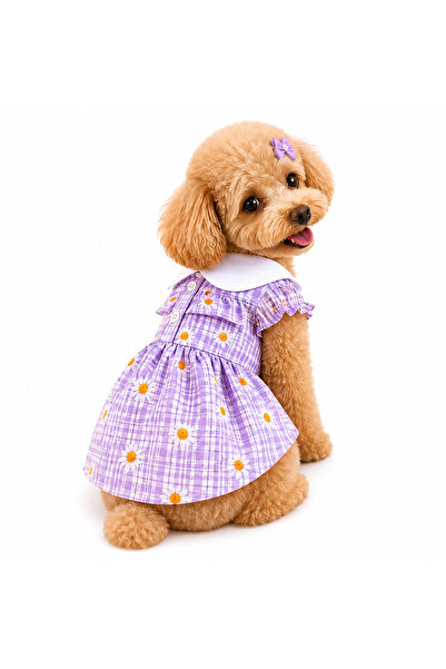 Dolce Pets Kedi Köpek Kıyafeti/Yakalı Papatya Elbise/Mor