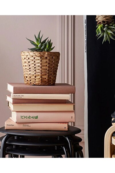 IKEA raftan saksı su sümbülü 12 cm