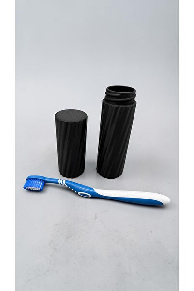 Belupa Toothbrush Box with Lid Travel Type Hygienic Storage Container