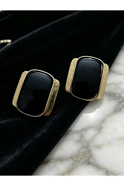 ayoljewelry Black Rectangular Shaped Luxury Steel Earrings