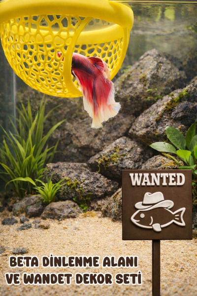 Akvaryum MDizmir Petshop - Karma Renkler -Yuva ve Wanted Dekor Seti