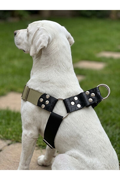 balkonda Köpek Göğüs Tasması Büyük Irk Ayarlamalı 3,5 cm Genişlik Palaska Kol...