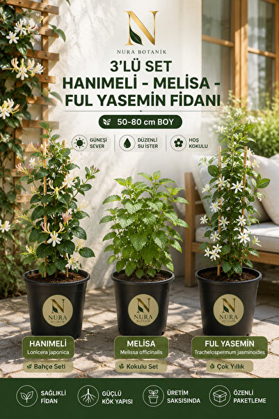 Nura Botanik Kokulu Bahçe Seti Hanımeli Fidanı+Melisa Çiçeği +Ful Yasemin Fid...