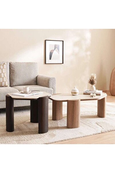 PAN HOME Maddox Coffee Table Set Of 2 Travertine - Natural Brown