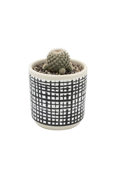 BM GİFT DESİGN Ghiveci ceramică 9x9 cm model linii perpendiculare