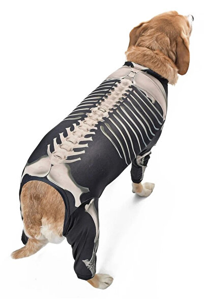 Petza Orta ve Büyük Irk Köpek Tulum - Skeleton