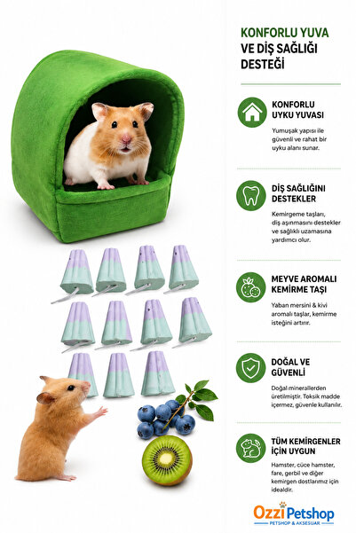 ozzipetshop 2'si 1 Arada Hamster Yuva + 10'lu Meyve Aromalı Kemirme Taşı | Di...