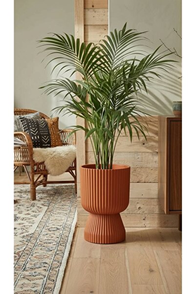 Bliss Lotus Vazo Saksı 10,5 litre Plastik Çiçek Saksısı Salon Saksısı