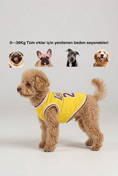salya store Lakers Yazlık Köpek Forma, küçük orta ve büyük ırklar için köpek ...